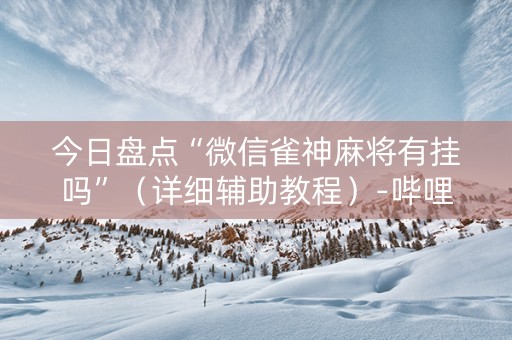 今日盘点“微信雀神麻将有挂吗”（详细辅助教程）-哔哩哔哩