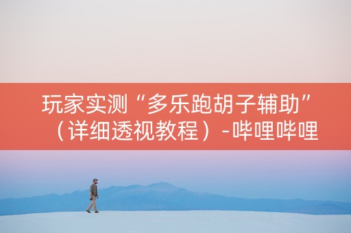 玩家实测“多乐跑胡子辅助”（详细透视教程）-哔哩哔哩