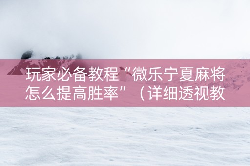 玩家必备教程“微乐宁夏麻将怎么提高胜率”（详细透视教程）-哔哩哔哩