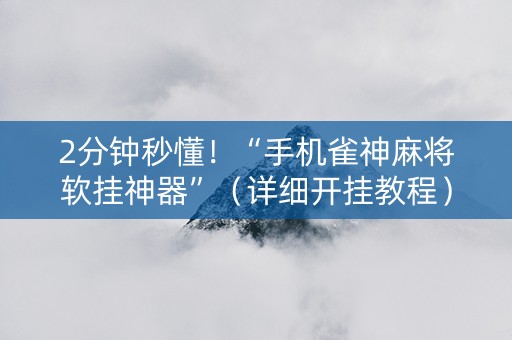 2分钟秒懂！“手机雀神麻将软挂神器”（详细开挂教程）-哔哩哔哩