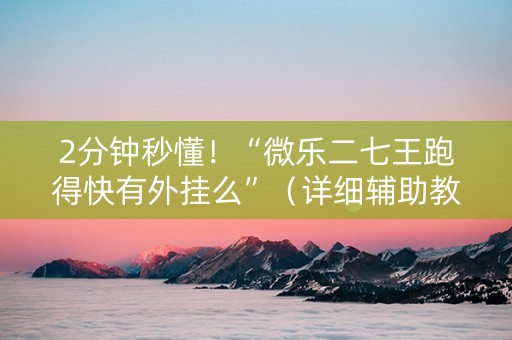 2分钟秒懂！“微乐二七王跑得快有外挂么”（详细辅助教程）-哔哩哔哩