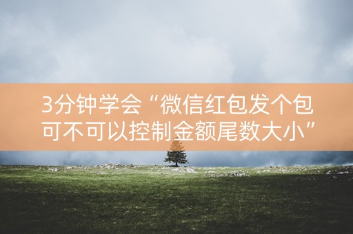 3分钟学会“微信红包发个包可不可以控制金额尾数大小”（详细透视教程）-哔哩哔哩