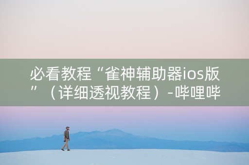 必看教程“雀神辅助器ios版”（详细透视教程）-哔哩哔哩