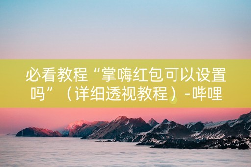 必看教程“掌嗨红包可以设置吗”（详细透视教程）-哔哩哔哩