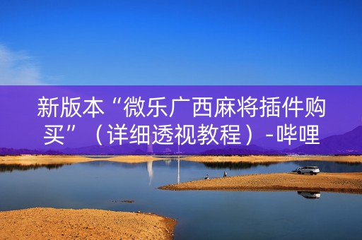 新版本“微乐广西麻将插件购买”（详细透视教程）-哔哩哔哩