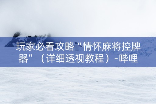 玩家必看攻略“情怀麻将控牌器”（详细透视教程）-哔哩哔哩