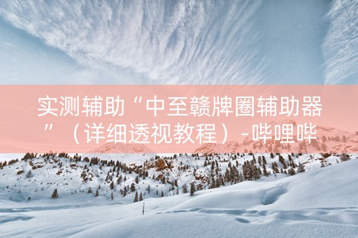 实测辅助“中至赣牌圈辅助器”（详细透视教程）-哔哩哔哩