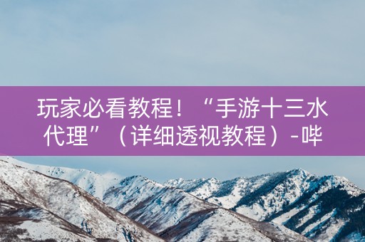 玩家必看教程！“手游十三水代理”（详细透视教程）-哔哩哔哩