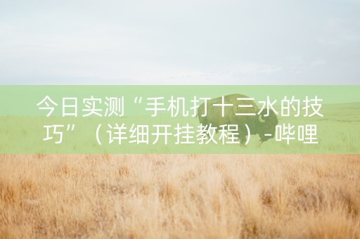 今日实测“手机打十三水的技巧”（详细开挂教程）-哔哩哔哩