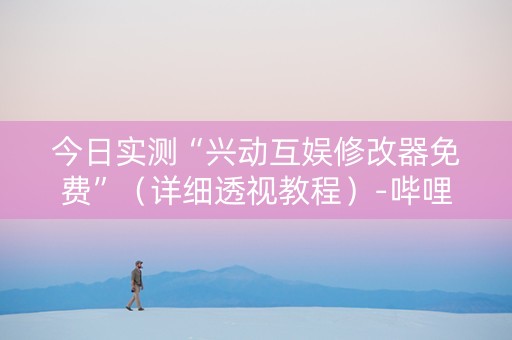 今日实测“兴动互娱修改器免费”（详细透视教程）-哔哩哔哩