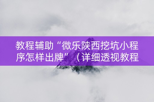 教程辅助“微乐陕西挖坑小程序怎样出牌”（详细透视教程）-哔哩哔哩