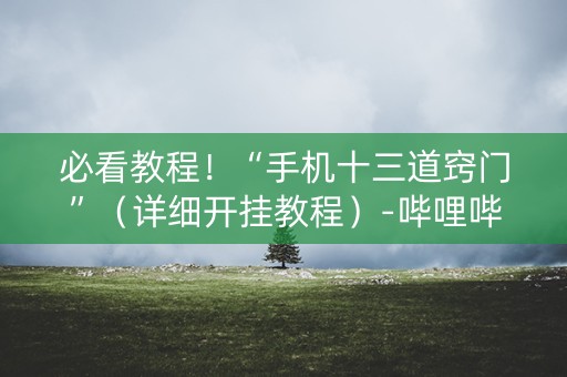 必看教程！“手机十三道窍门”（详细开挂教程）-哔哩哔哩
