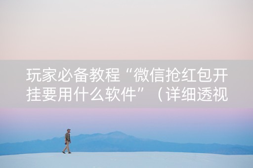 玩家必备教程“微信抢红包开挂要用什么软件”（详细透视教程）-哔哩哔哩
