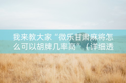 我来教大家“微乐甘肃麻将怎么可以胡牌几率高”（详细透视教程）-哔哩哔哩