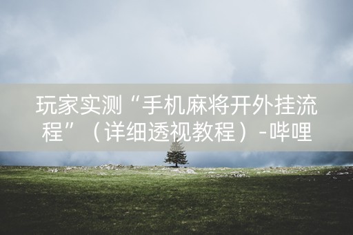 玩家实测“手机麻将开外挂流程”（详细透视教程）-哔哩哔哩