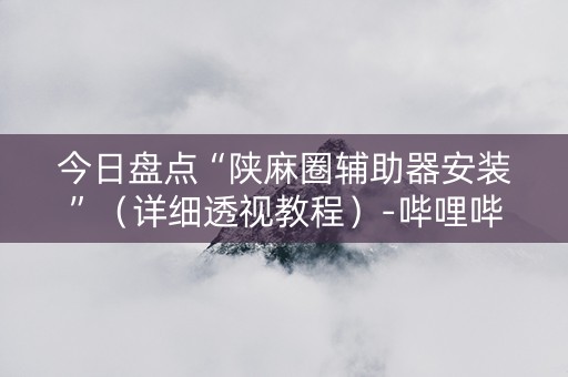 今日盘点“陕麻圈辅助器安装”（详细透视教程）-哔哩哔哩