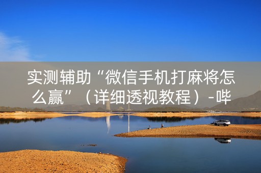 实测辅助“微信手机打麻将怎么赢”（详细透视教程）-哔哩哔哩
