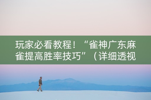 玩家必看教程！“雀神广东麻雀提高胜率技巧”（详细透视教程）-哔哩哔哩
