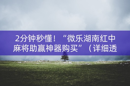 2分钟秒懂！“微乐湖南红中麻将助赢神器购买”（详细透视教程）-哔哩哔哩