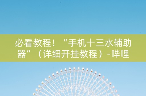 必看教程！“手机十三水辅助器”（详细开挂教程）-哔哩哔哩