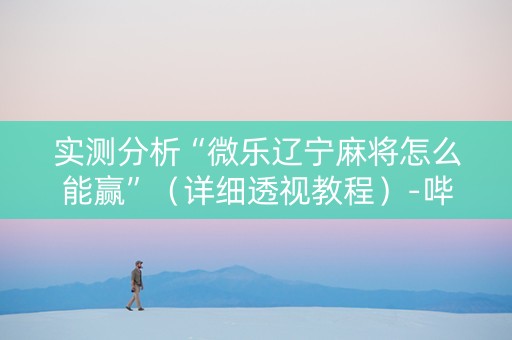 实测分析“微乐辽宁麻将怎么能赢”（详细透视教程）-哔哩哔哩