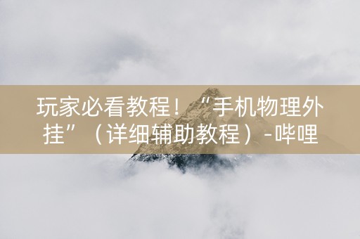玩家必看教程！“手机物理外挂”（详细辅助教程）-哔哩哔哩