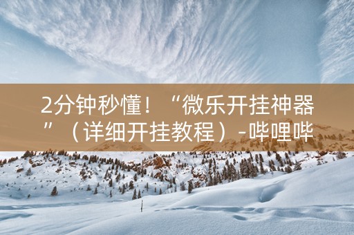 2分钟秒懂！“微乐开挂神器”（详细开挂教程）-哔哩哔哩