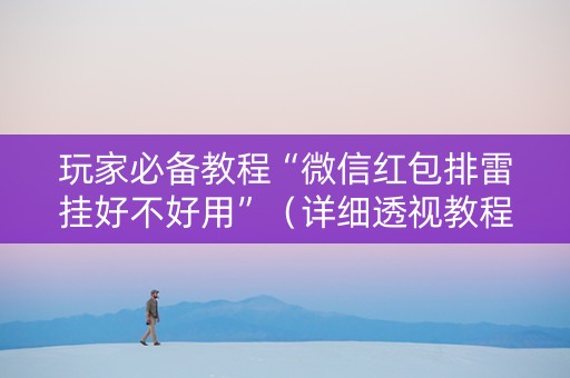 玩家必备教程“微信红包排雷挂好不好用”（详细透视教程）-哔哩哔哩