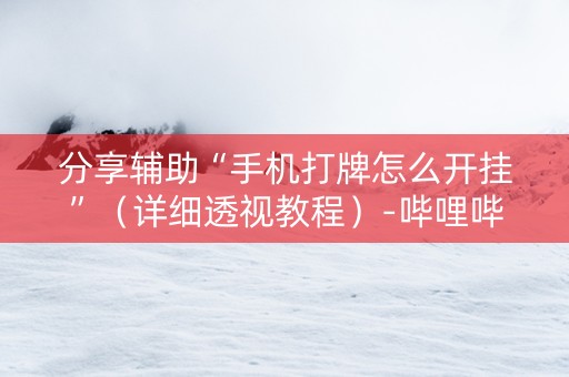 分享辅助“手机打牌怎么开挂”（详细透视教程）-哔哩哔哩