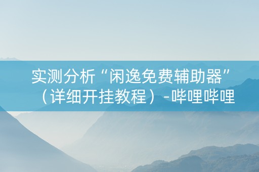 实测分析“闲逸免费辅助器”（详细开挂教程）-哔哩哔哩