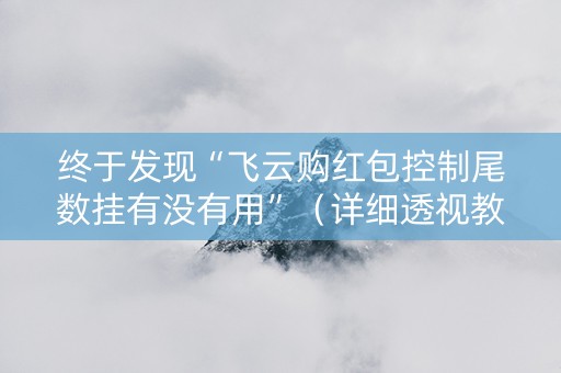 终于发现“飞云购红包控制尾数挂有没有用”（详细透视教程）-哔哩哔哩