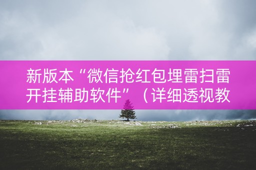 新版本“微信抢红包埋雷扫雷开挂辅助软件”（详细透视教程）-哔哩哔哩