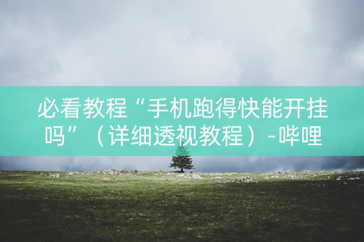 必看教程“手机跑得快能开挂吗”（详细透视教程）-哔哩哔哩