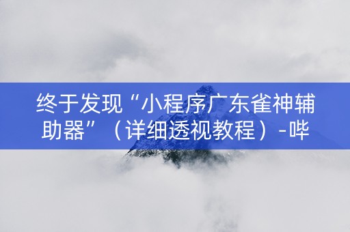 终于发现“小程序广东雀神辅助器”（详细透视教程）-哔哩哔哩