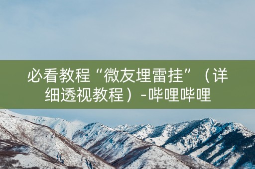必看教程“微友埋雷挂”（详细透视教程）-哔哩哔哩