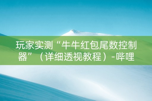 玩家实测“牛牛红包尾数控制器”（详细透视教程）-哔哩哔哩