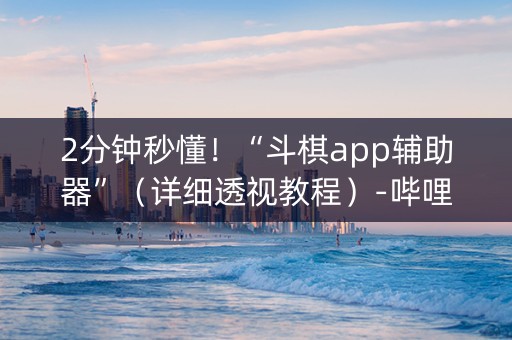 2分钟秒懂！“斗棋app辅助器”（详细透视教程）-哔哩哔哩