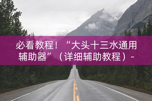 必看教程！“大头十三水通用辅助器”（详细辅助教程）-哔哩哔哩