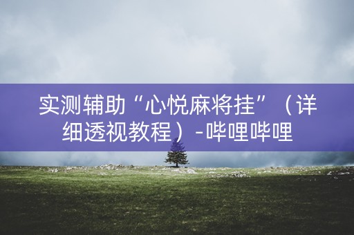 实测辅助“心悦麻将挂”（详细透视教程）-哔哩哔哩