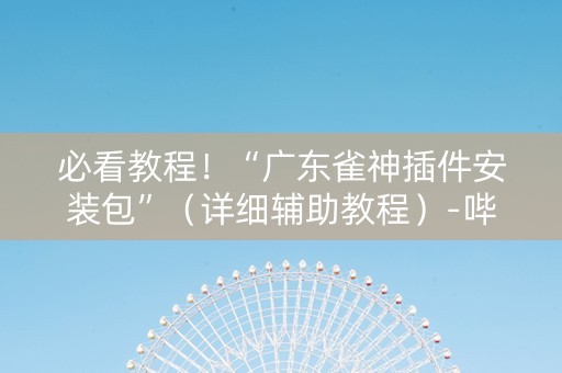 必看教程！“广东雀神插件安装包”（详细辅助教程）-哔哩哔哩