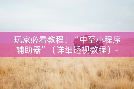 玩家必看教程！“中至小程序辅助器”（详细透视教程）-哔哩哔哩