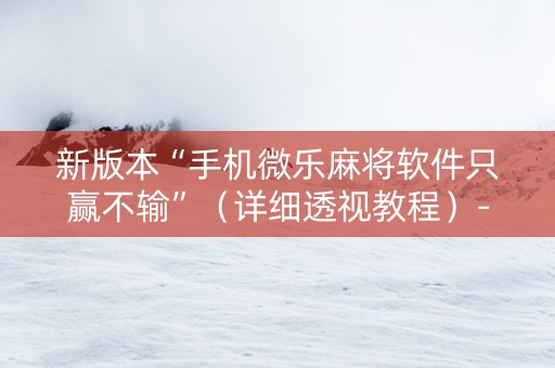 新版本“手机微乐麻将软件只赢不输”（详细透视教程）-哔哩哔哩