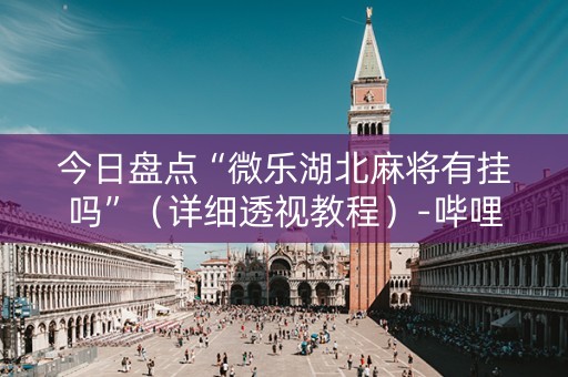今日盘点“微乐湖北麻将有挂吗”（详细透视教程）-哔哩哔哩