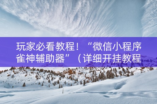 玩家必看教程！“微信小程序雀神辅助器”（详细开挂教程）-哔哩哔哩