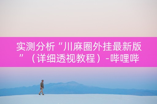 实测分析“川麻圈外挂最新版”（详细透视教程）-哔哩哔哩