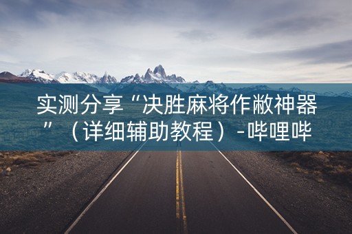 实测分享“决胜麻将作敝神器”（详细辅助教程）-哔哩哔哩