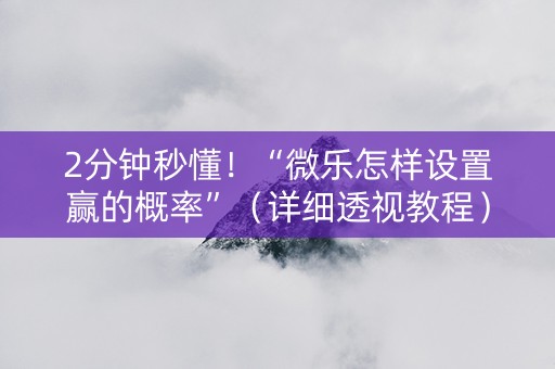 2分钟秒懂！“微乐怎样设置赢的概率”（详细透视教程）-哔哩哔哩