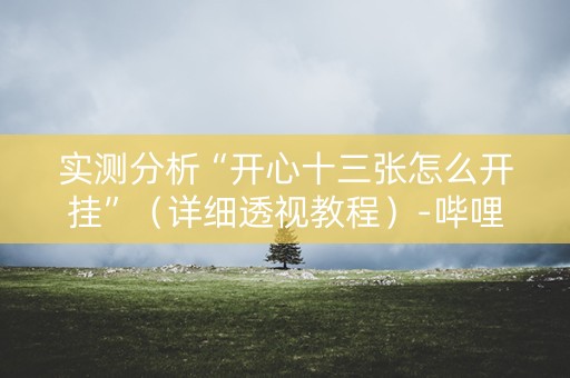 实测分析“开心十三张怎么开挂”（详细透视教程）-哔哩哔哩