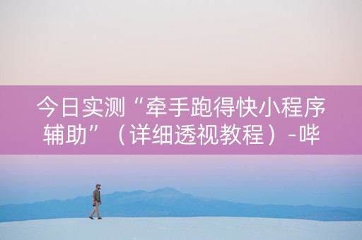 今日实测“牵手跑得快小程序辅助”（详细透视教程）-哔哩哔哩