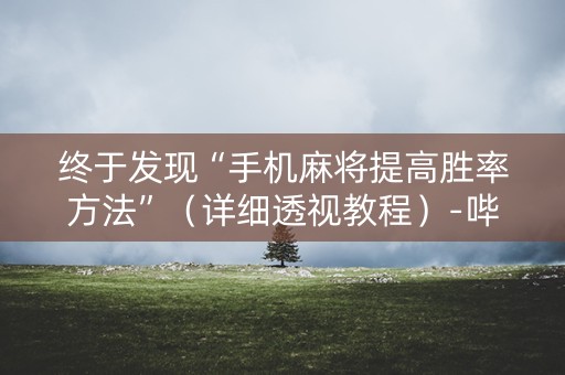终于发现“手机麻将提高胜率方法”（详细透视教程）-哔哩哔哩